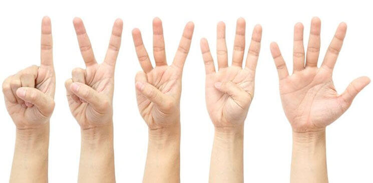 5-Adımda-Kaliteli-Blog-Yazısı-Oluşturmak2