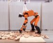 Honda E2-DR prototip afet robotunu tanıttı