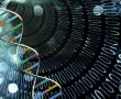 DNA Bilgisayarlar Gerçek mi Oluyor?