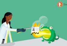DuckDuckGo 15 Milyar Aramaya Ulaştı