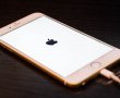 iPhone Marka Cihaz Yüzünden Hayatını Kaybetti